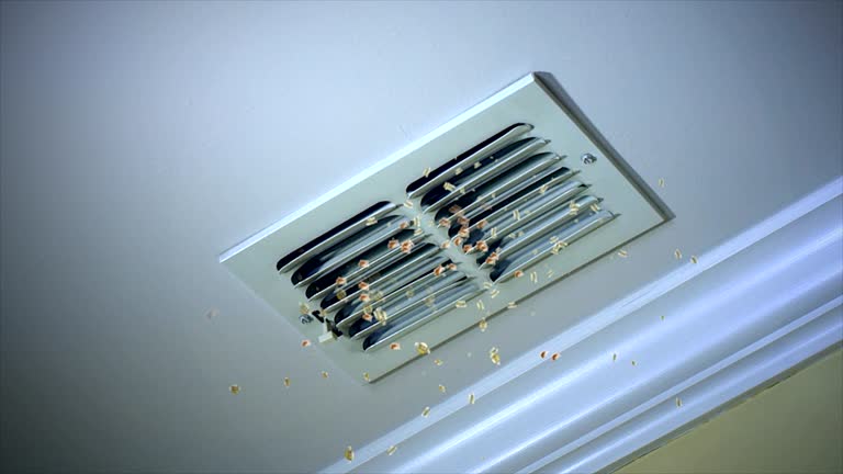 HVAC Maintenance and Cleaning in NC